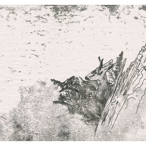 A monoprint of a deer in the woods. Available as a Giclee Fine Art Print.